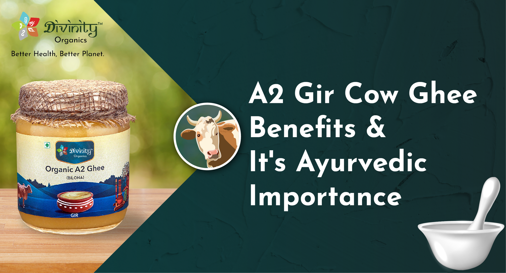 A2 Gir Cow Ghee Benefits and Its Ayurvedic Importance
