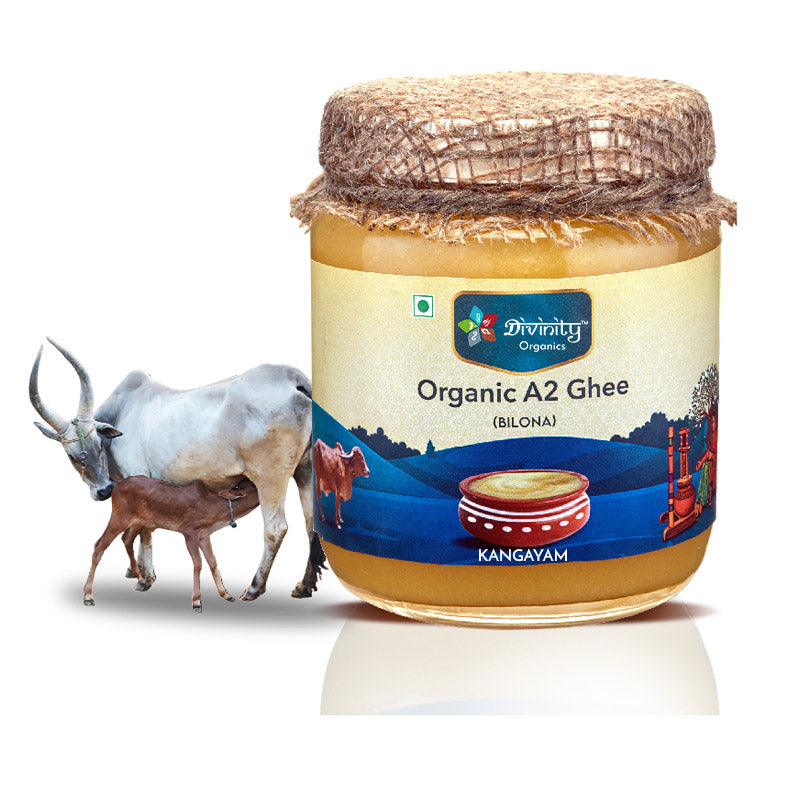 Divinity Organics A2 Cow Ghee Kangayam 500ml- Made using Bilona Churning process, prepared from famous South Indian Desi breed Kangayam cows. This super healthy ghee is hand-churned and it is exceptionally light and has multiple health benefits. So get this for your kitchen today.