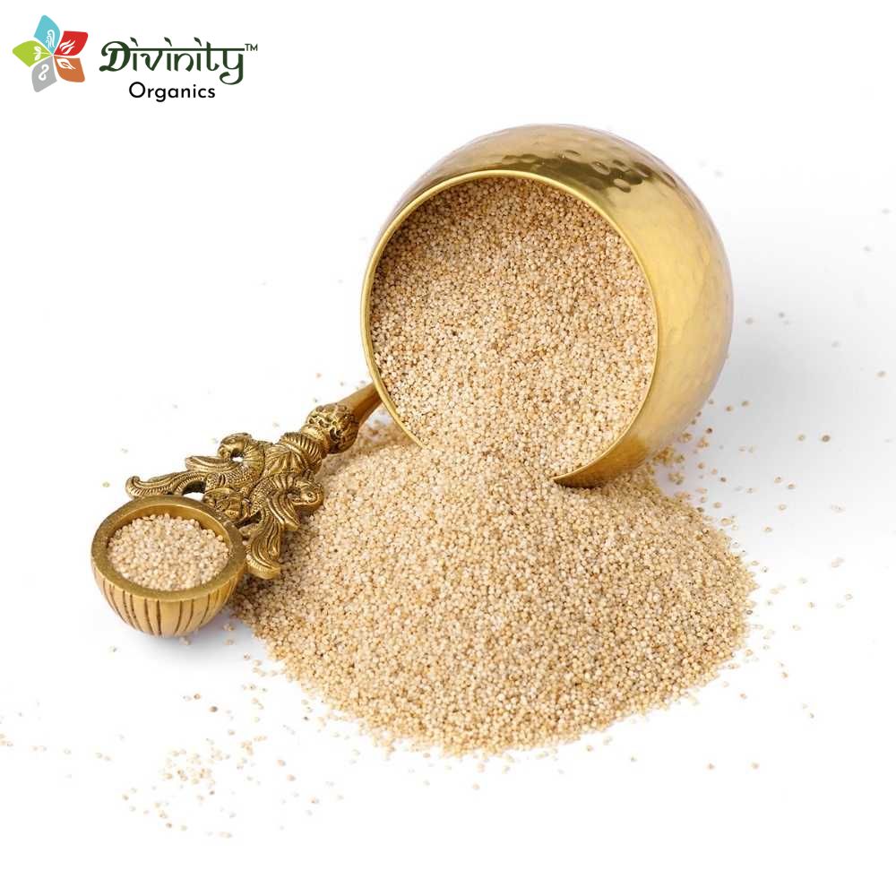 Divinity Organics - Little Millet 500g -Rich in sources like iron, calcium, zinc and potassium among others, Little millets help in weight loss, diabetes control and even weight loss. Little millets are whole grain that are an excellent source of carbohydrates. Since they are so small, they can be easily mashed and used to cook a variety of different dishes.