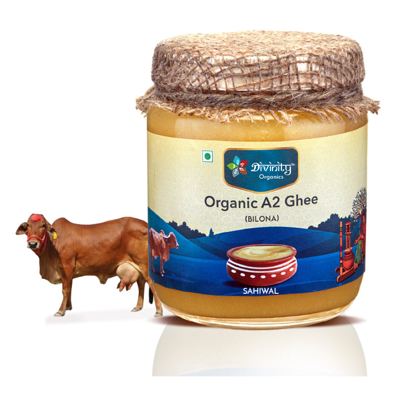 Divinity Organics A2 Cow Ghee Sahiwal-Made using the Bilona churning process, pure-breed Sahiwal cows are cultured to bring you this exquisite form of ghee. Sahiwal cows are found in the Punjab region of India. Once the milk is curdled, it is churned by hand to separate the solids and make ghee. It has a high nutritional value and is rich in proteins, vitamins, minerals, Omega-3 etc. Due to the process used to make this ghee, it is light and easily digestible.