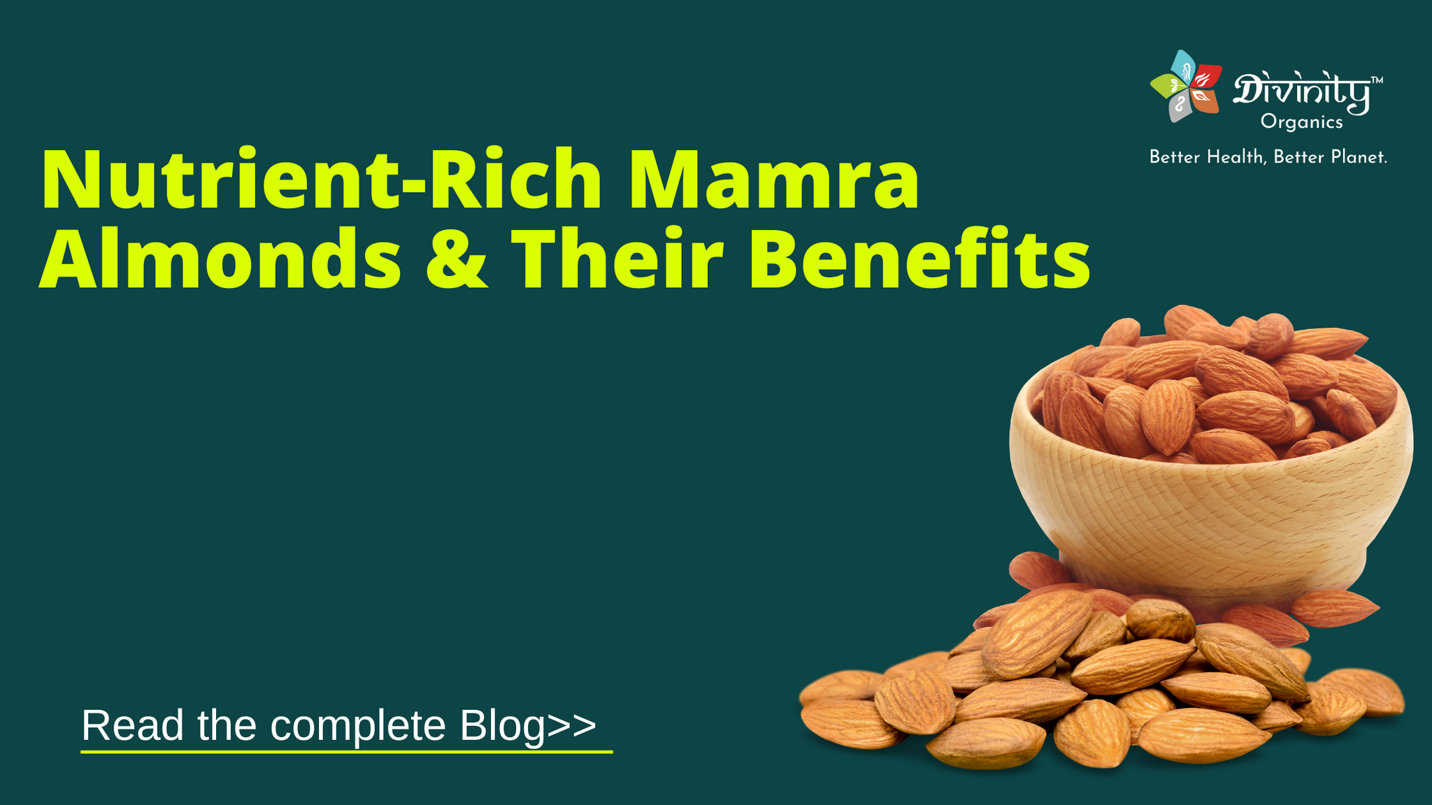 What are Mamra Almonds? What is the Health Benefit of Mamra Almonds| Divinity Organics