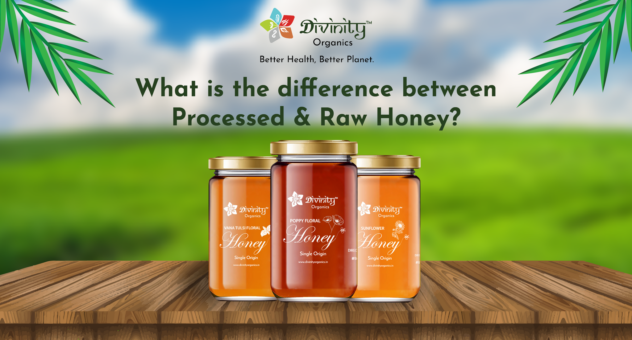 What Is The Difference Between Processed and Raw Honey? | Divinity Organics