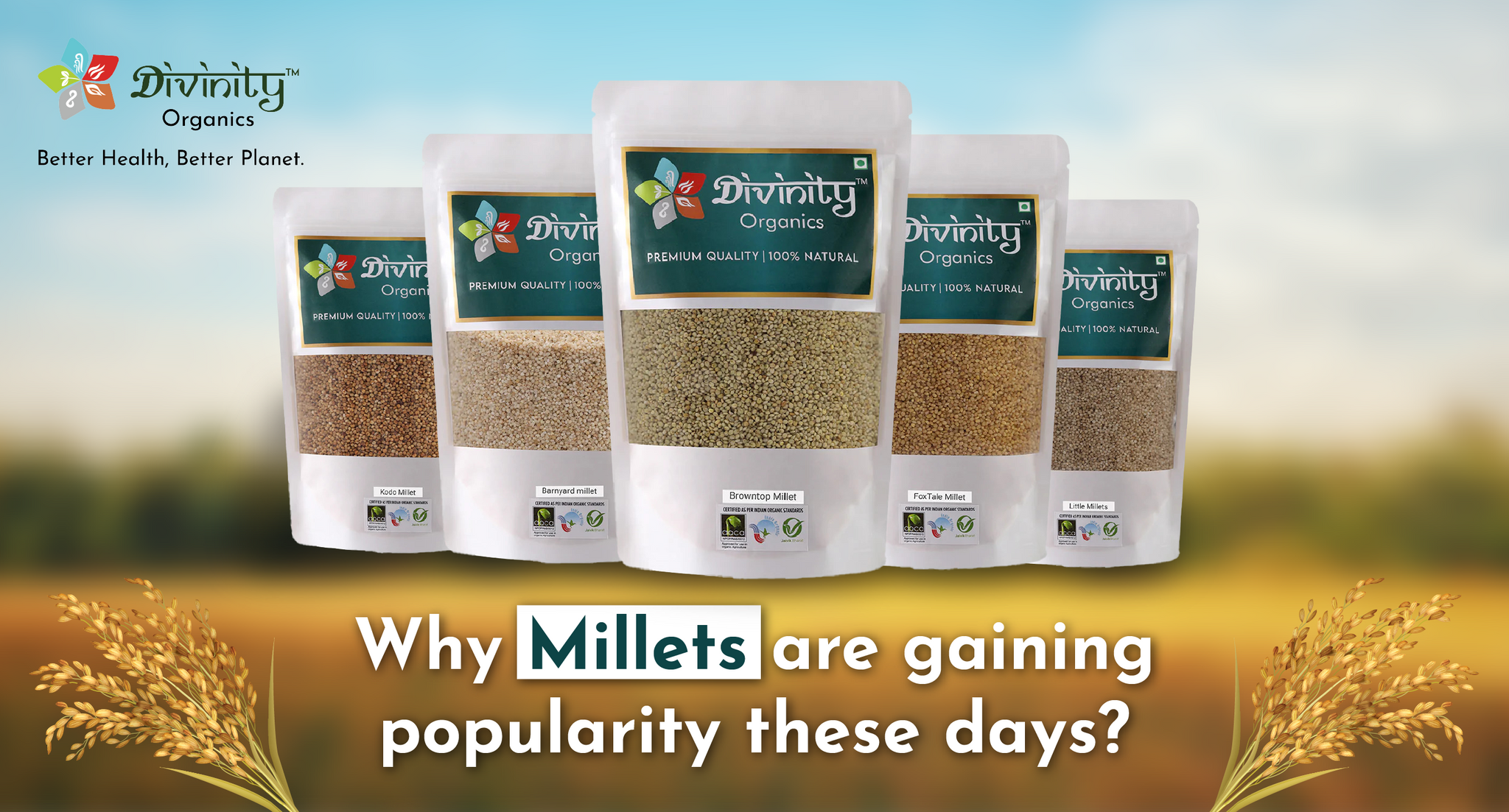 WHY MILLETS ARE GAINING POPULARITY THESE DAYS